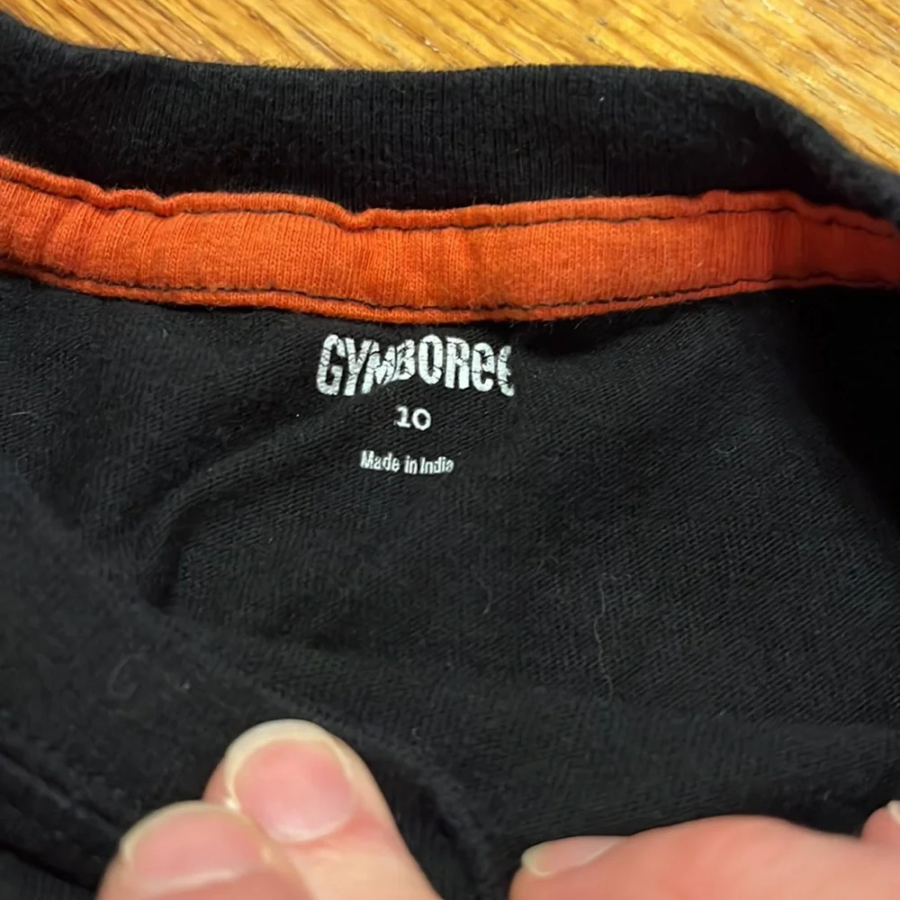 Gymboree Silkscreened and Embroidered Tee